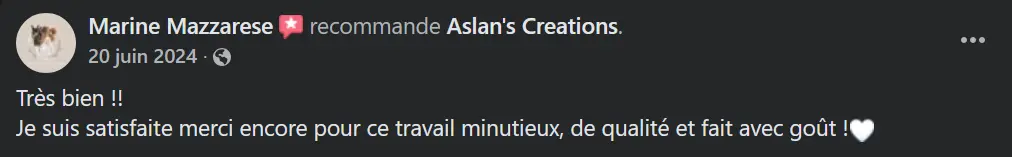 Avis Aslan's creations