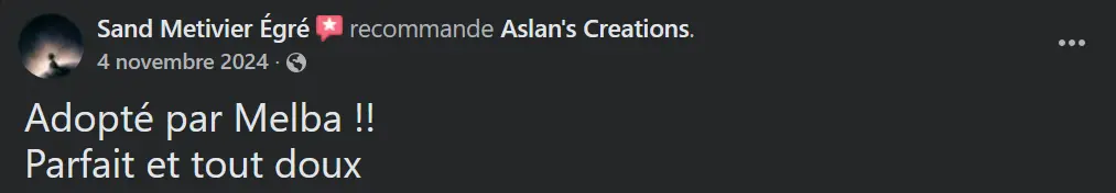 Avis Aslan's creations