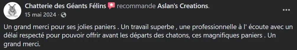 Avis Aslan's creations