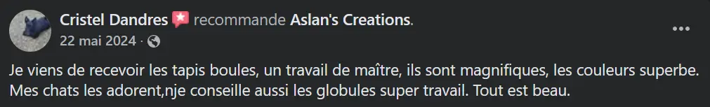 Avis Aslan's creations