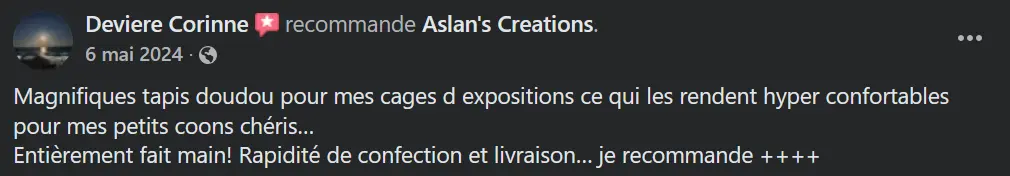 Avis Aslan's creations