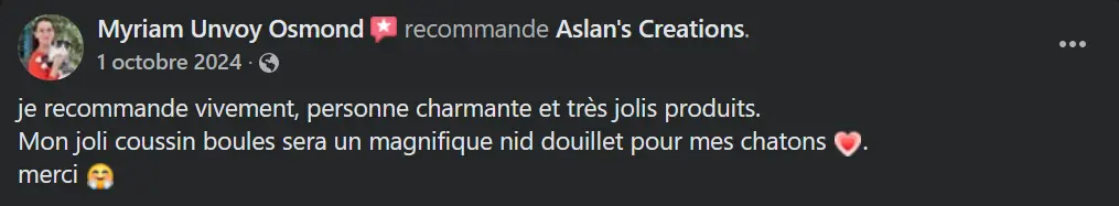 Avis Aslan's creations