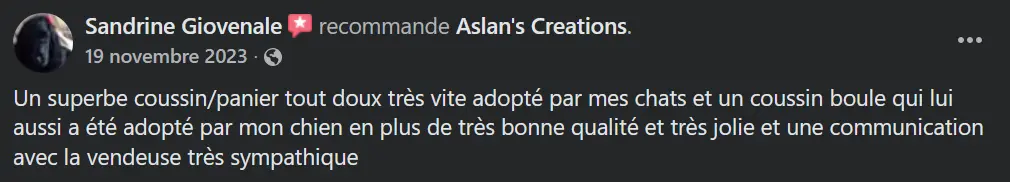 Avis Aslan's creations