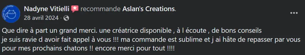 Avis Aslan's creations