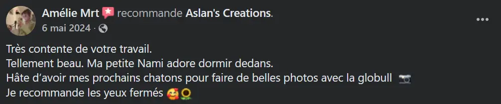 Avis Aslan's creations