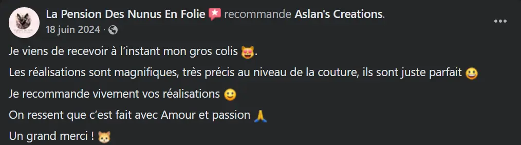 Avis Aslan's creations