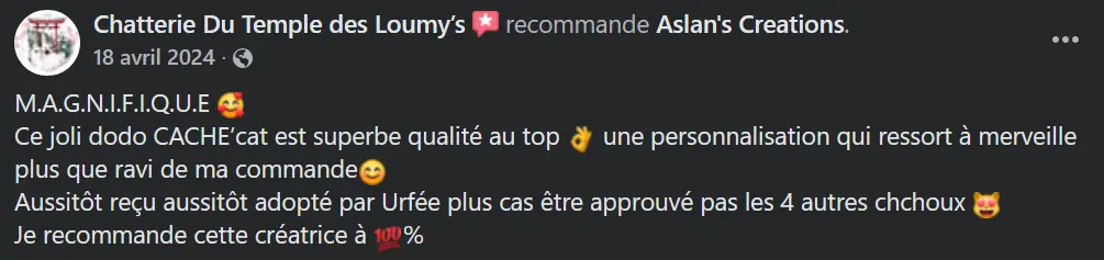 Avis Aslan's creations