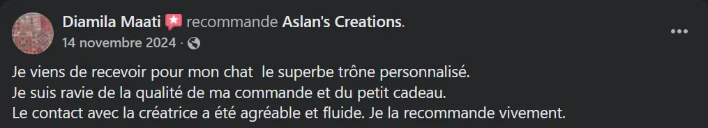 Avis Aslan's creations