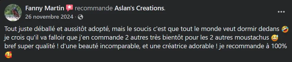 Avis Aslan's creations