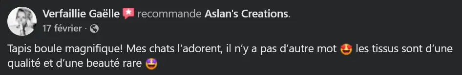 Avis Aslan's creations