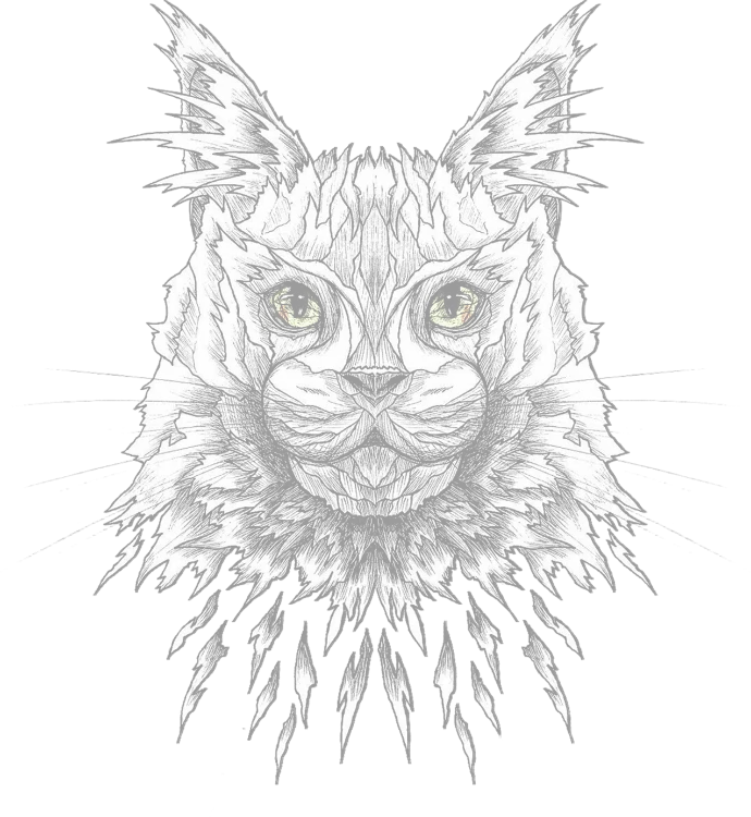 Maine coon Narnya's Lynx Coon