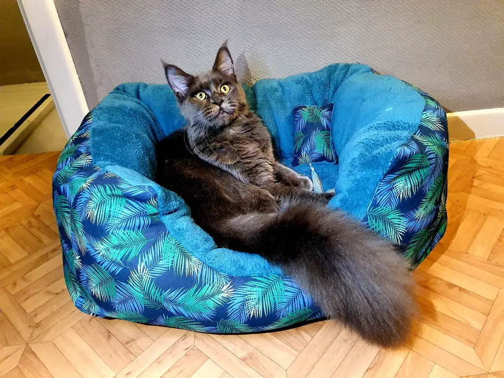 473174043_938611505063062_1417590799363549450_n (1).webp