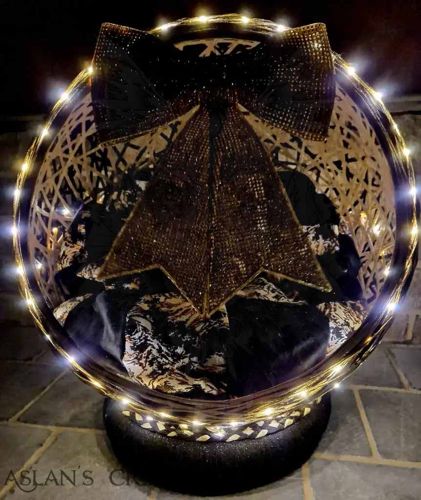 482344945_994793362783447_2869323039938449140_n (1).webp