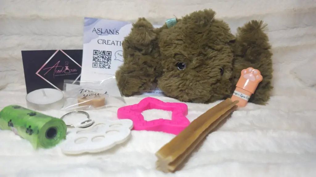 Box Noël Chien - CHAMICHOU - sonore "PouetPouet" | Kaki