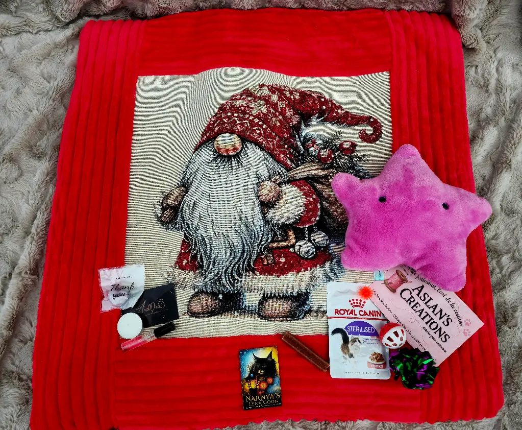 Box Plaid Impression | Rouge & Nainoël 