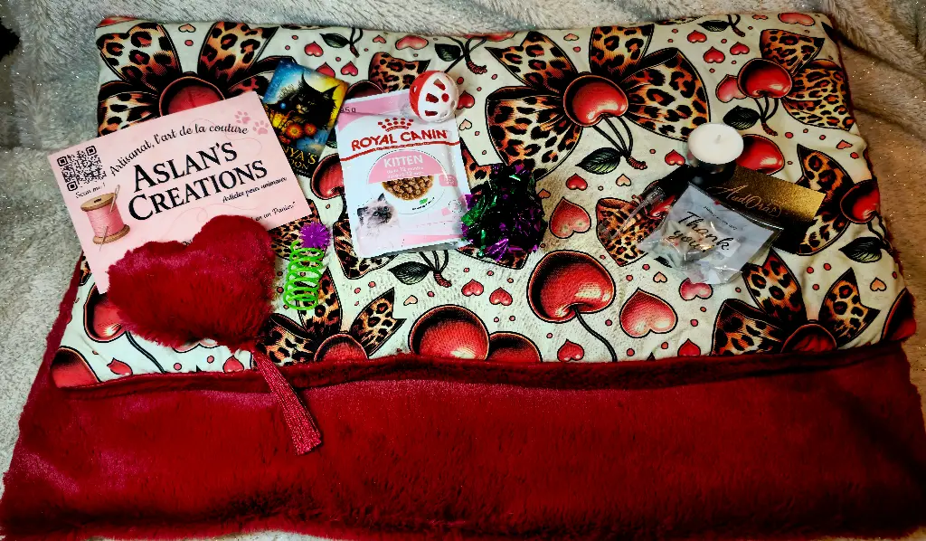 Plaid | Noel | Cerise 