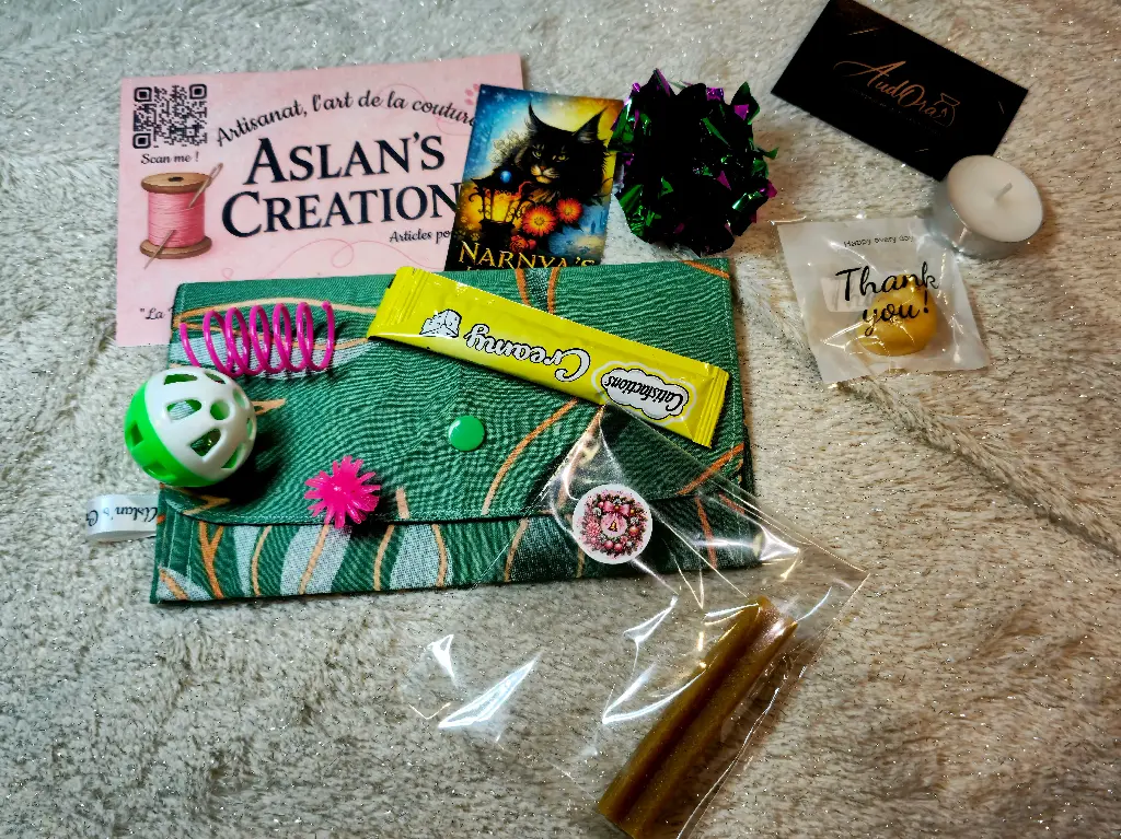 Kit Protège carnet de santé [EU] | Noel | Vert 