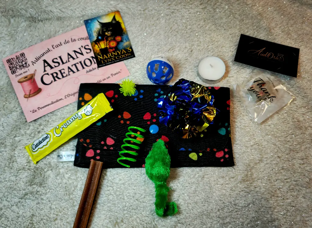 Kit Protège carnet de santé [EU] | Noel | Noir