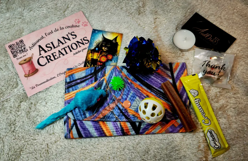 Kit Protège carnet de santé [EU] | Noel | Ruban