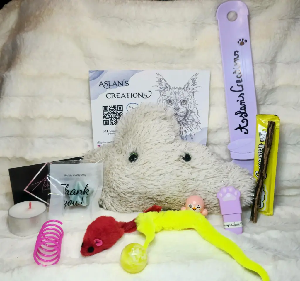 Box Noël Chat - NEPHELY - | Crème pailleté