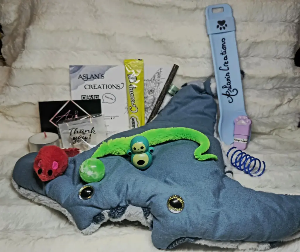 Box Noël Chat - RAYA - | Bleu 