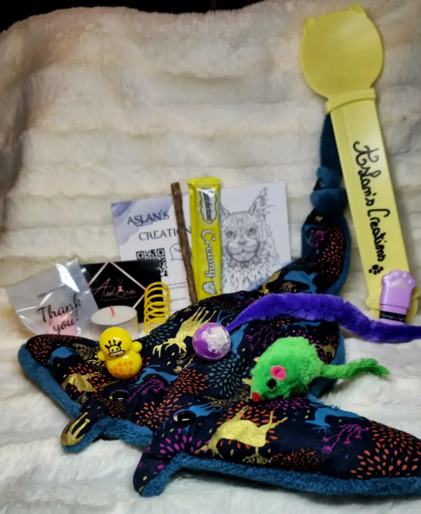 Box Noël Chat - RAYA - | Bleu & Cerfs de Noël