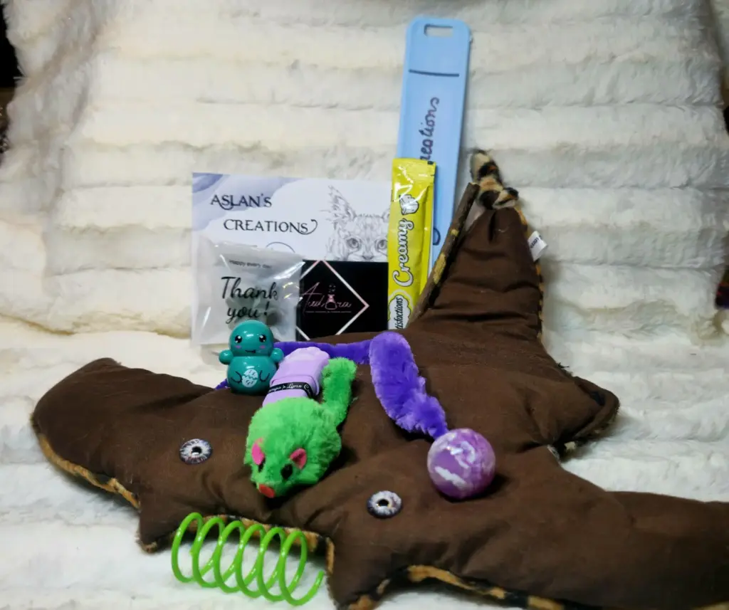 Box Noël Chat - RAYA - | Marron & Tigré