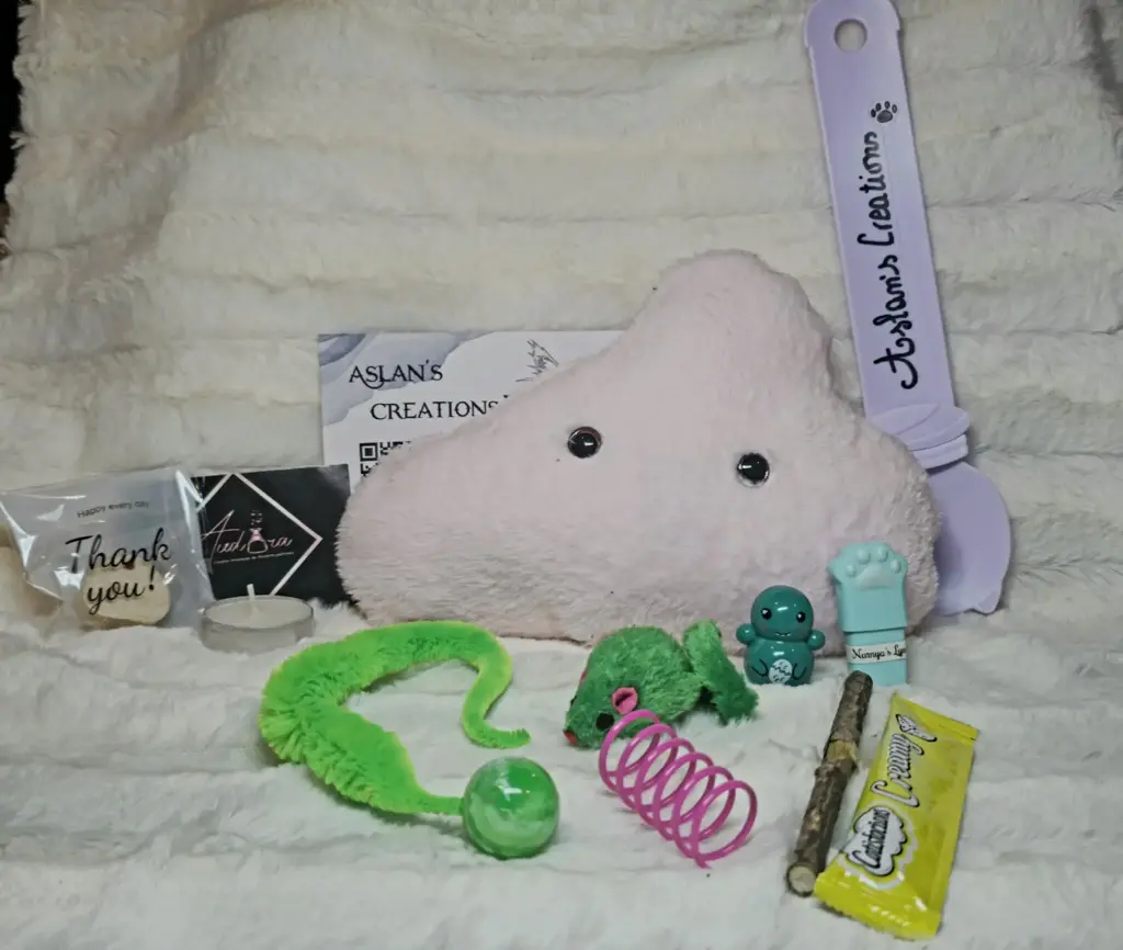 Box Noël Chat - NEPHELY - | Rose clair