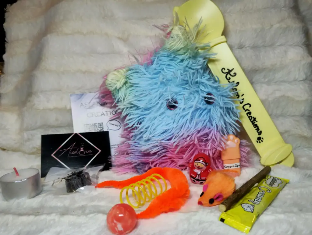 Box Noël Chat - SORAYA - | Multicouleur