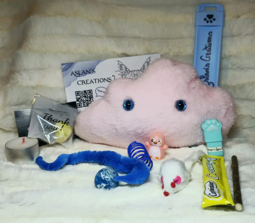 Box Noël Chat - NEPHELY - | Rose 