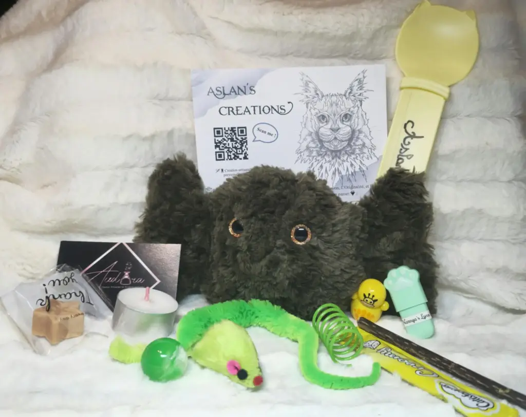 Box Noël Chat - CHAMICHOU - | Kaki