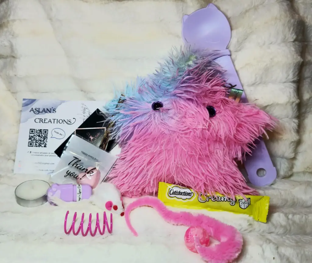 Box Noël Chat - SORAYA - | Multicouleur