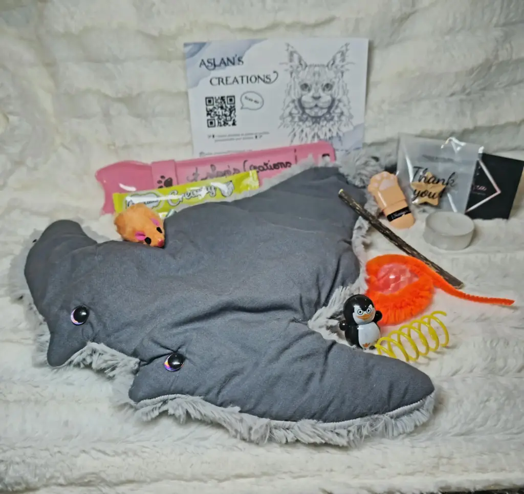 Box Noël Chat - RAYA - | Gris