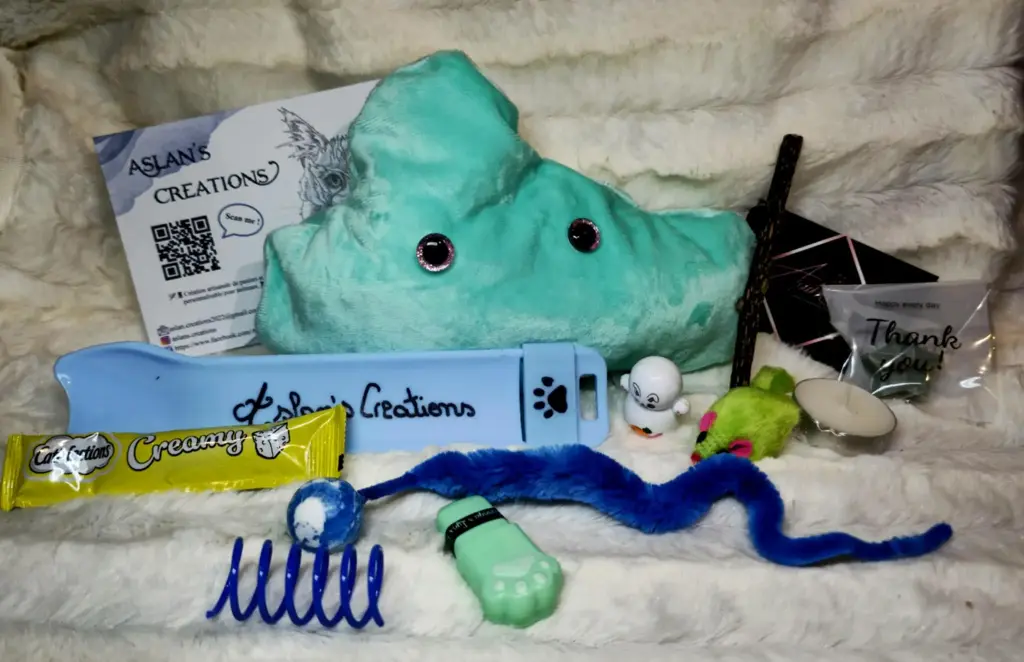 Box Noël Chat - NEPHELY - | Bleu turquoise