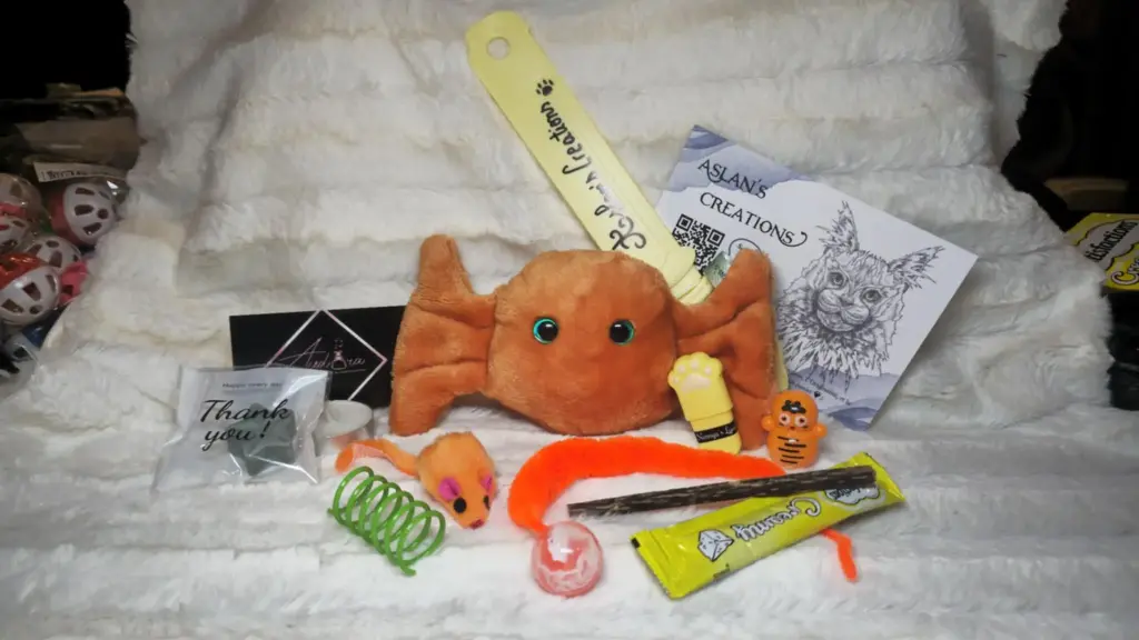 Box Noël Chat - CHAMICHOU - | Orange