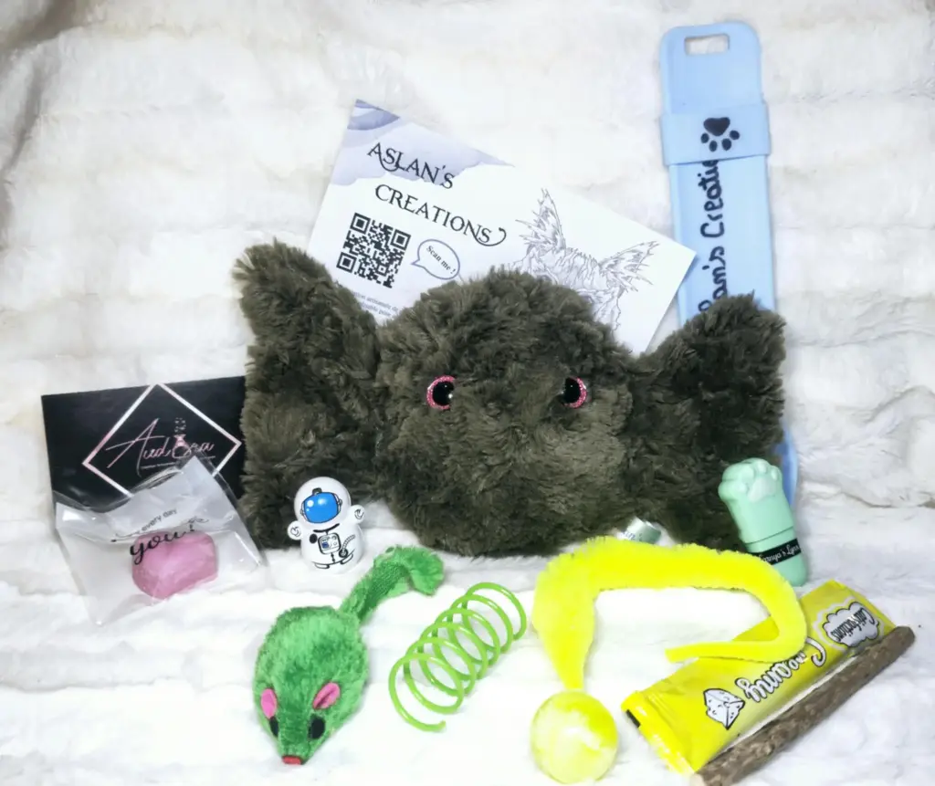 Box Noël Chat - CHAMICHOU - | Kaki vert