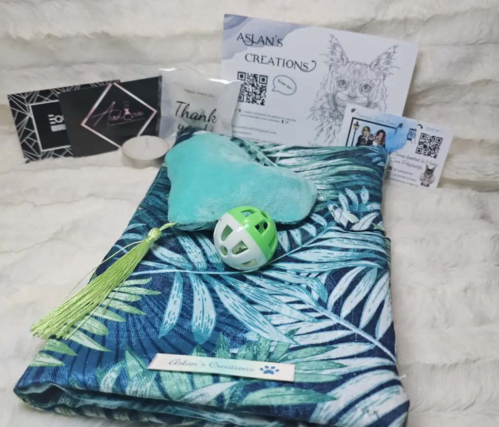 Kit - Grand Protège Carnet de Santé | Bleu - Turquoise