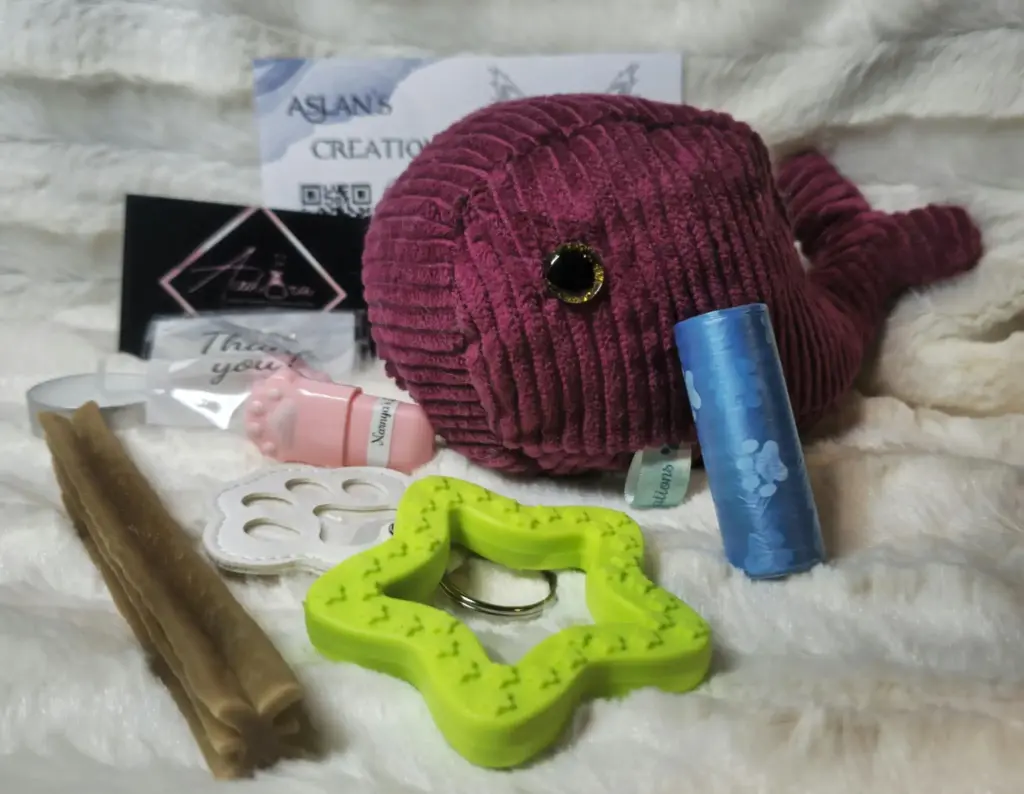 Box Noël Chien - KEIKO - sonore "PouetPouet" | Bordeaux