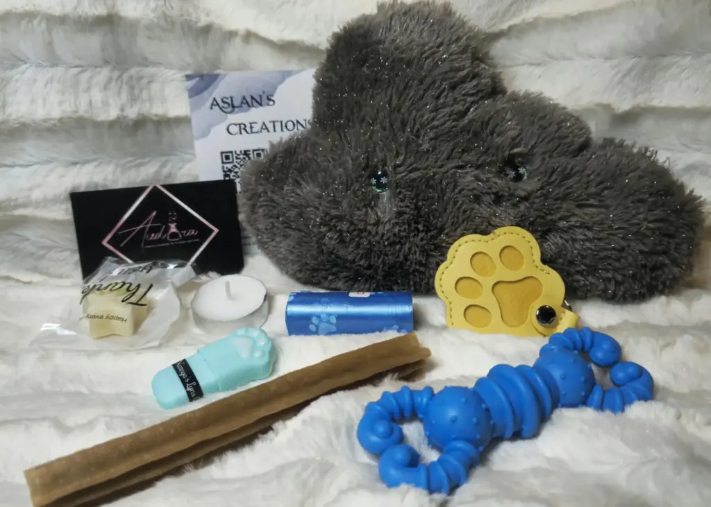 Box Noël Chien - NEPHELY - sonore "PouetPouet" | Kaki pailleté