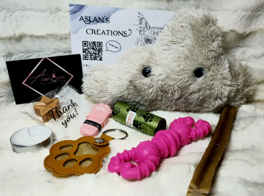 Box Noël Chien - NEPHELY - sonore "PouetPouet" | Blanc crème pailleté