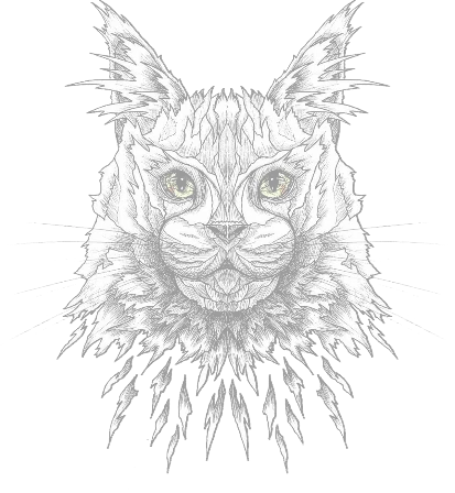 Aslan's Creations